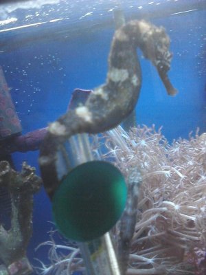 Image11102011154106.jpg