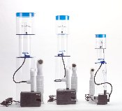 Seastorm Sea Life 250.png