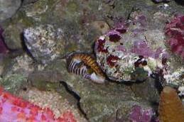 DSCN1525.jpg