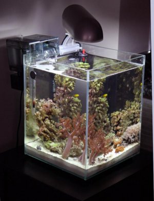 ntotom aquanook full.jpg