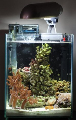 ntotm sub aquanook.jpg