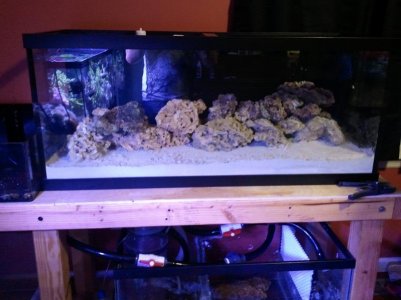 2011-11-20 18.24.59.jpg