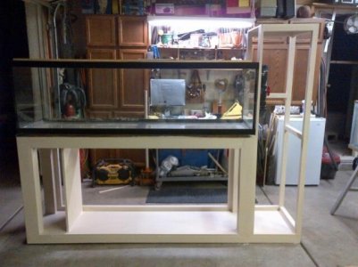 day3 1st coat done.jpg