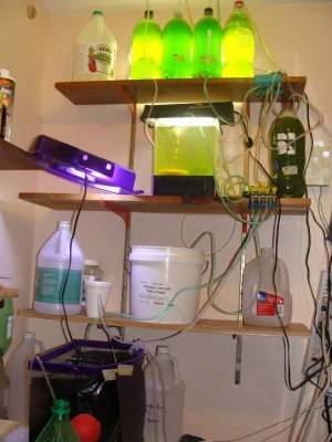 Mess of Fish Room.jpg