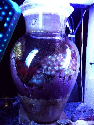 Bowl 11.21.11.jpg