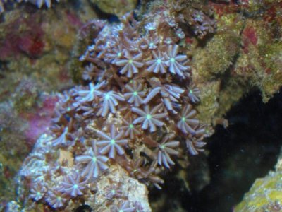 fish tank 024.jpg