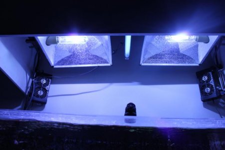 IMG_4096 copy.jpg