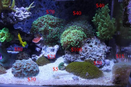 prices2 copy.jpg