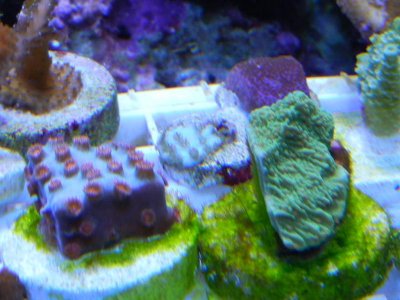 RSCN0529.jpg