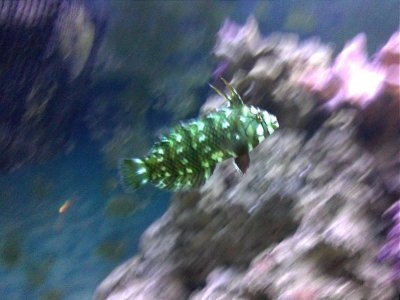 IMG029.jpg