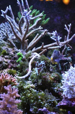 DSC_00103.jpg