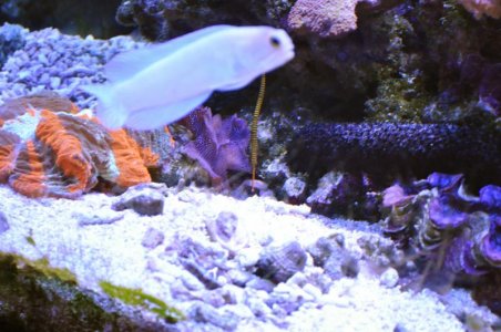 DSC_00106.jpg