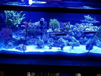 2011-11-23 13.59.47.jpg