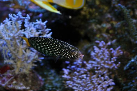 DSC_0024_2.jpg