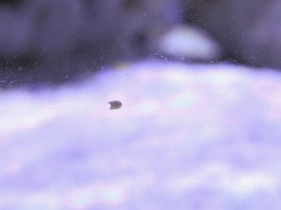 bad-1.jpg