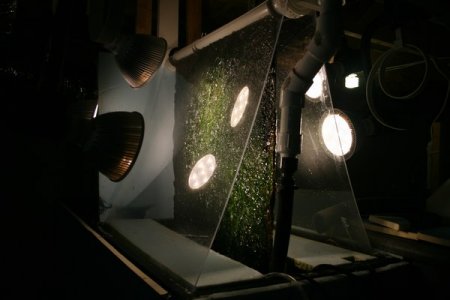 mini-IMG_3199.JPG