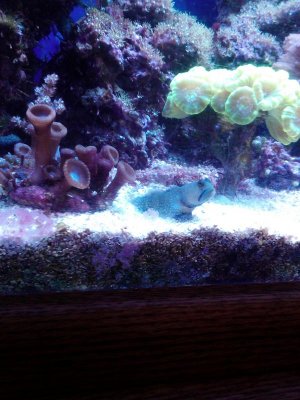 IMG_20111218_085614.jpg