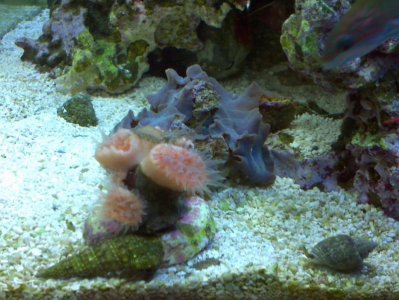 2011-10-06_10-57-04_176.jpg