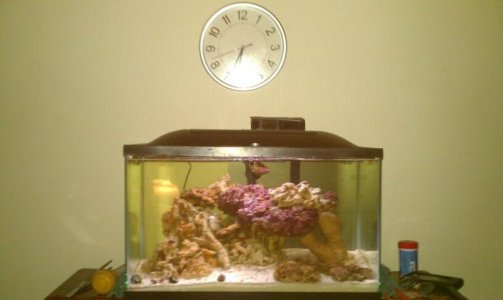 tank 11-29-11.jpg