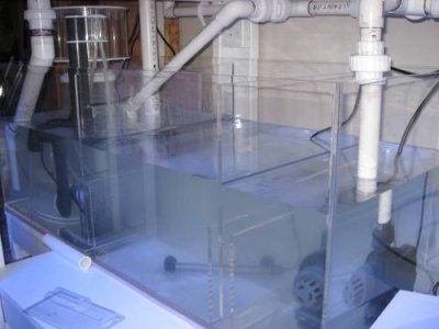 nov 21 2011 080.JPG