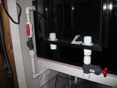 nov 21 2011 066.JPG