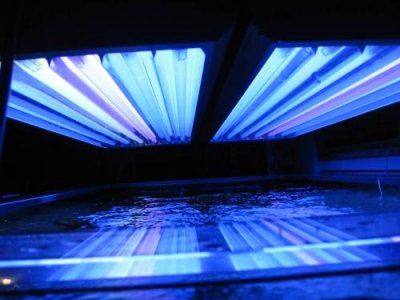 dec 8 2011 014.JPG