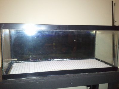 2011-12-01 20.26.43.jpg