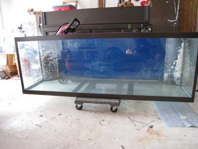 fishtank1.jpg