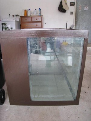 fishtank2.jpg