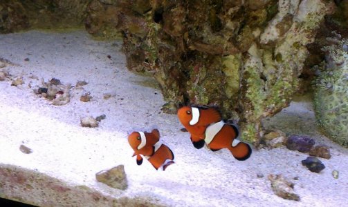 IMAG0126.jpg