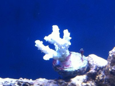 photo(10).jpg
