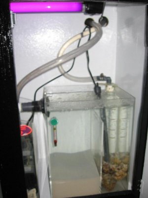 46 Gallon Refugium.jpg