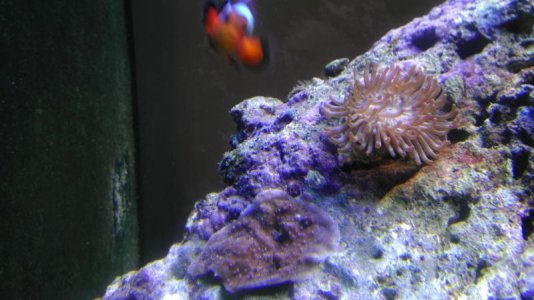 IMAG0324.jpg