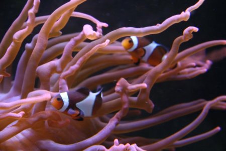 12-4-2011 011.jpg