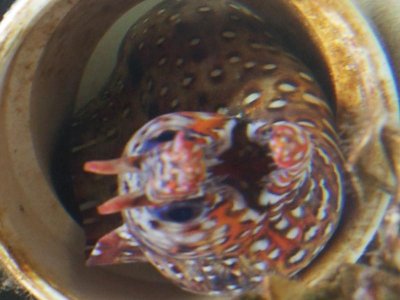 2011-12-05 13.11.42.jpg