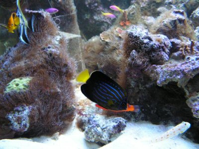 PICT0016.jpg