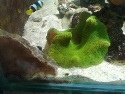 06122011312.jpg