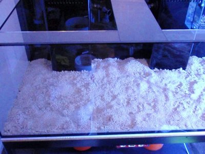 Tank with Sand 2.jpg