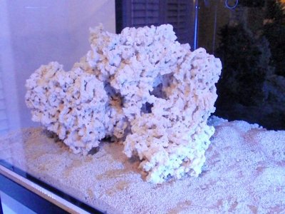 Tank Rock Left 2.jpg