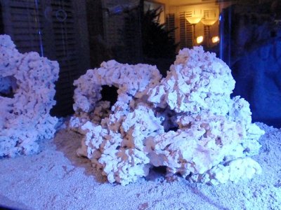 Tank Rock Right 2.jpg