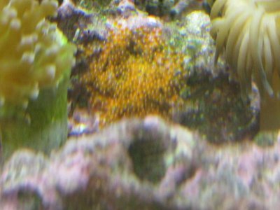 IMG_0750.jpg
