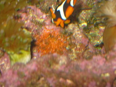 IMG_0746.jpg