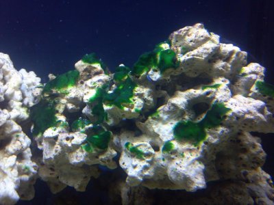 2011-12-27_15-13-30_382 (3).jpg