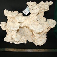 9536_sculpmarinefrontsm.jpg