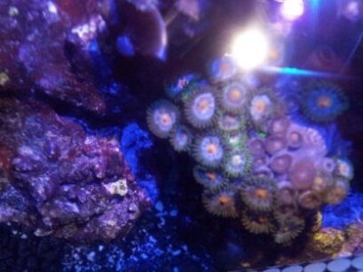20111223_203247.jpg