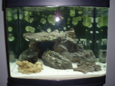 newsetup.jpg newsetup.jpg