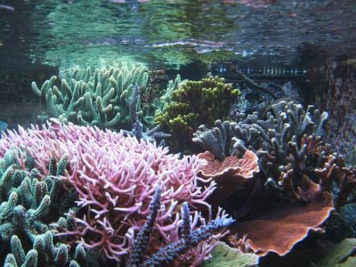 dscf4653.jpg