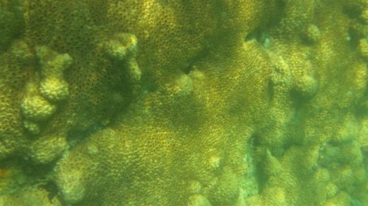 104_0015 (Medium).jpg