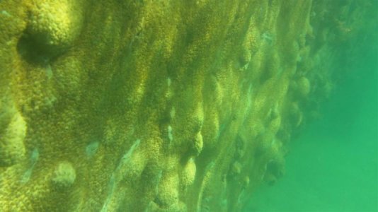 104_0016 (Medium).jpg