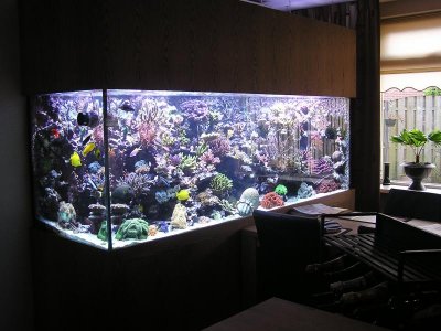 P1010286.jpg